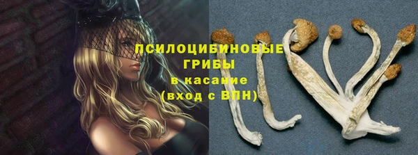 трава Липки