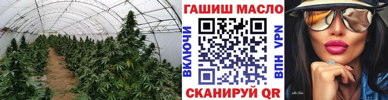 Дистиллят ТГК вейп с тгк  купить наркотик  Нерюнгри 