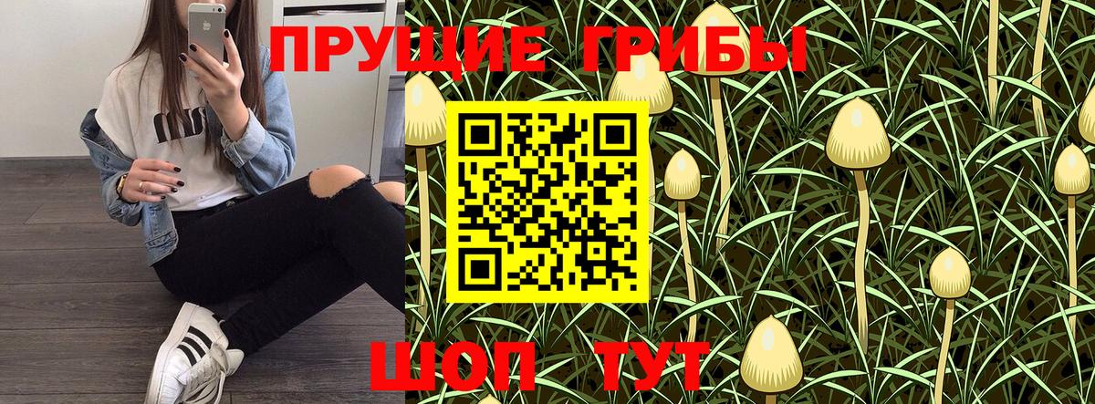 Псилоцибиновые грибы мицелий  Галлюциногенные грибы Cubensis  Нерюнгри 